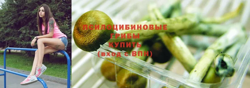 Псилоцибиновые грибы Magic Shrooms  купить наркоту  Красноуфимск 